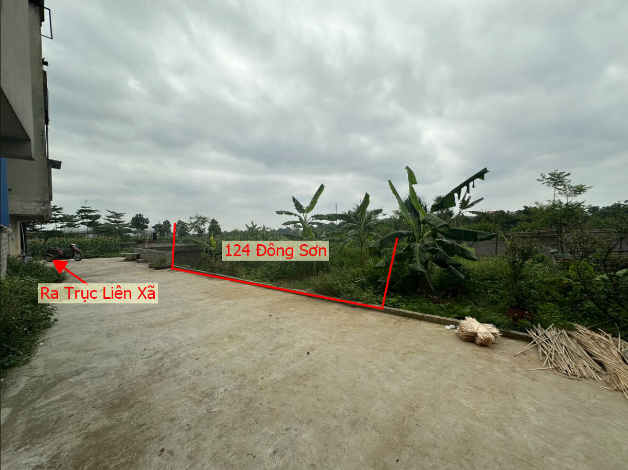Hình ảnh Bán Thửa Đất 124m Tại Đông Sơn Chương Mỹ Ô Tô Đỗ Tận Đất Sát Trục Liên Xã Gần QL6A Đang Mở Rộng 