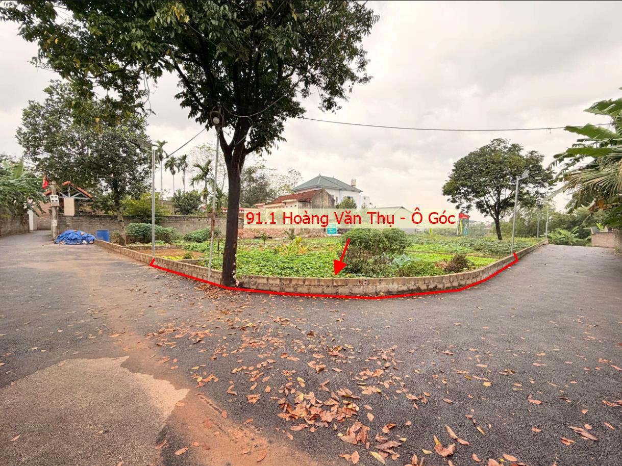 Hình ảnh Đất Phân Lô Hoàng Văn Thụ Sát Trục Kinh Doanh Liên Xã Đối Diện Ủy Ban Ngay Gần Trường Học Các Cấp