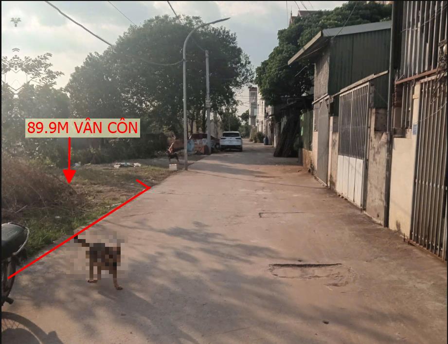 Hình ảnh Bán Lô Đất 89.9m Tại Vân Côn Bám Đường Bê Tông Ô Tô Vaò Tận Đất Dân Cu Đông Đúc Thân Thiện Đày Đủ Tiện Ích Giá Đầu Tư