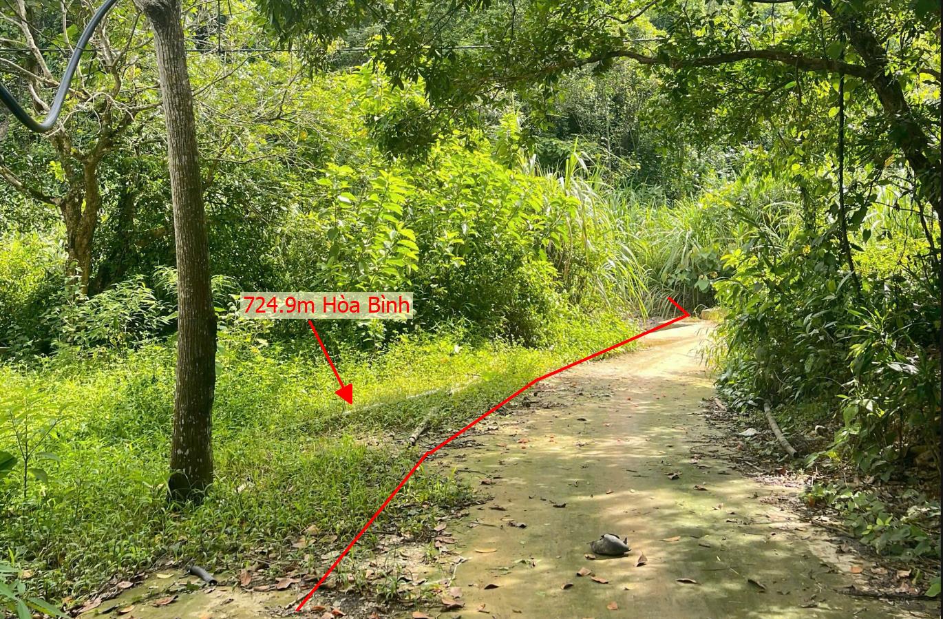 Hình ảnh Bán Lô Đất 724.9m Tại Hòa Bình Bám Đường Bê Tông Ô Tô Vào Tận Đất View Suối Thoáng Mát Giá Đầu Tư