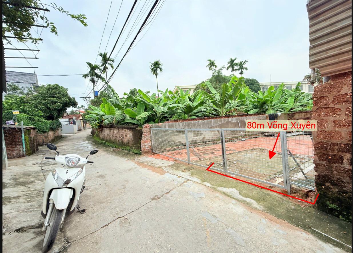 Hình ảnh Bán Lô Đất 80m Tại Võng Xuyên Bám Đường Bê Tông Ô Tô Vào Tận Đất Dân Cư Đông ĐÚc Thân Thiện Giá Đầu Tư