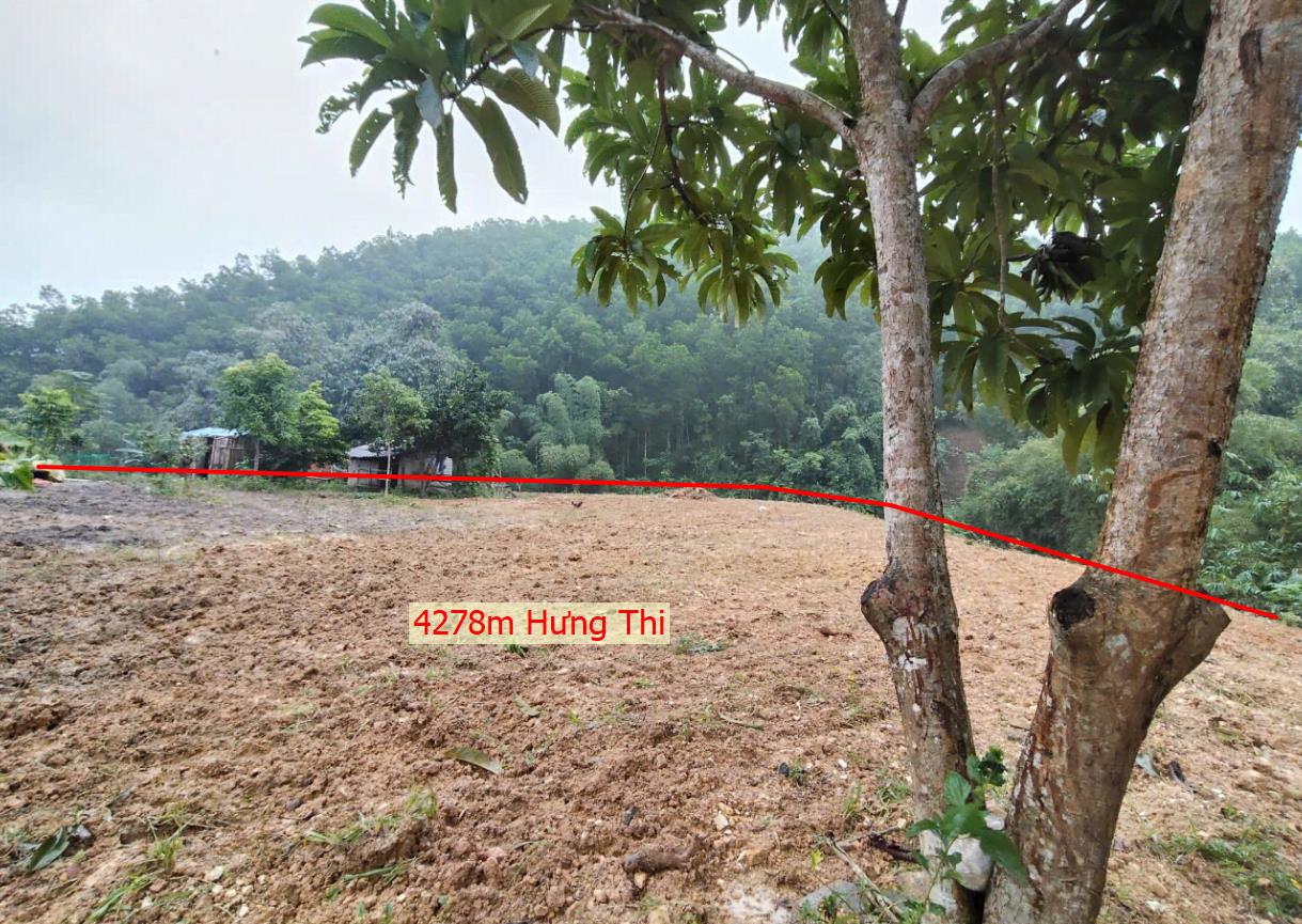 Hình ảnh Bán Lô Đất 4278m Tại Hưng Thi Lạc Thủy Bám Đường Bê Tông Ô Vào Tận Đất Dân Cư Đông Đúc  Phù Hợp Làm Nghỉ Dưỡng   Bám Suối Thoáng Mát Giá Đầu Tư