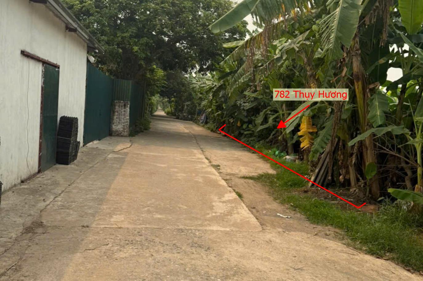 Hình ảnh Bất Động Sản Chương Mỹ Bán Đất Khu Vực Thụy Hương Ô Tô Đỗ Tận Đất Gần Trục Chính Kinh Doanh Liên Xã