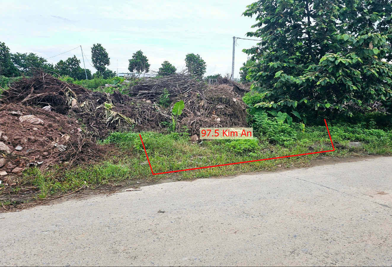 Hình ảnh Bán Đất Đấu Giá Kim An Sát Trục Kinh Doanh Liên Xã Ngay Trung Tâm Xã Kim An 