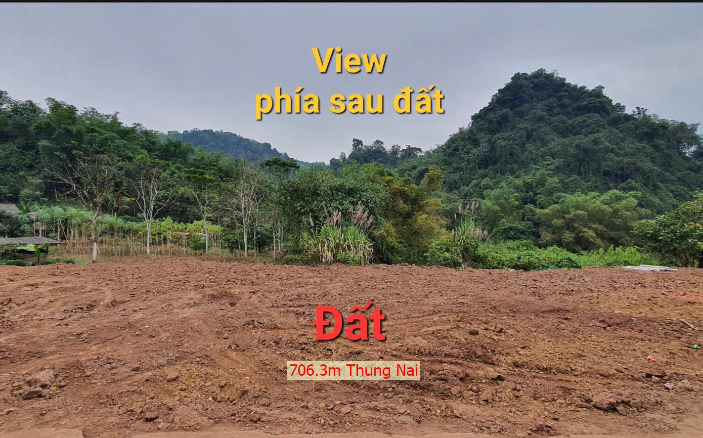 Hình ảnh Bán Lô Đất 703.6m Tại Cao Phong Bám Đường Bê Tông Ô Tô Vào Tận Đất Gần Chợ Trường Học Đầy Đủ Tiện Ích Giá Rẻ