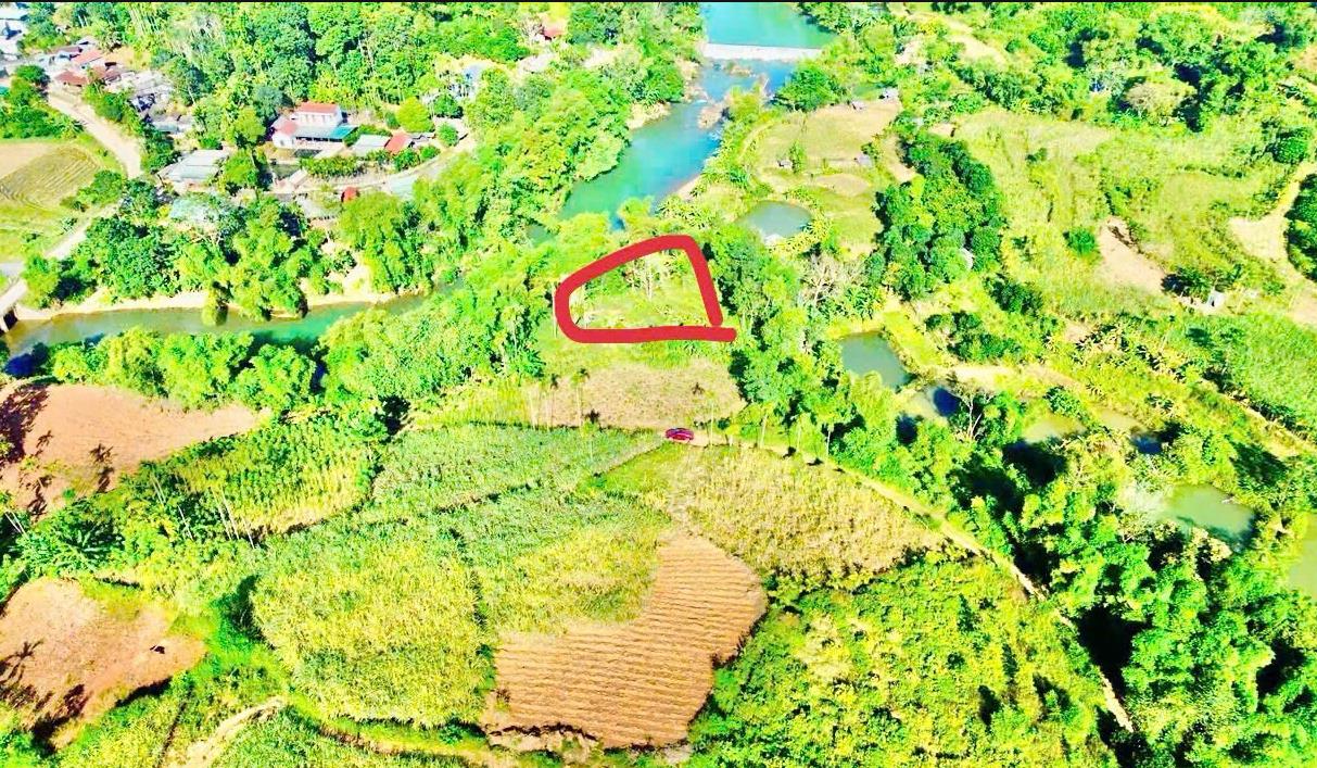 Hình ảnh Bán Lô Đất 600m Tại Tân Lạc Bám Đường Bê Tông Ô Tô Vào Tận Đất Dân Cư Đông Đúc Thân Thiện View Hồ Thoáng Mát Giá Đầu Tư