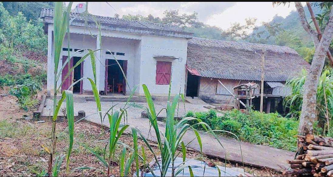 Hình ảnh Bán Lô Đất 6891m Tại Thu Cúc Tân Sơn Bám Đường Bê Tông Ô ô Vào Tận  Đất Sẵn Nhà Cấp 4  Dân Cư Đông Gần Chợ Trường Học Ủy Ban Giá Đầu Tư