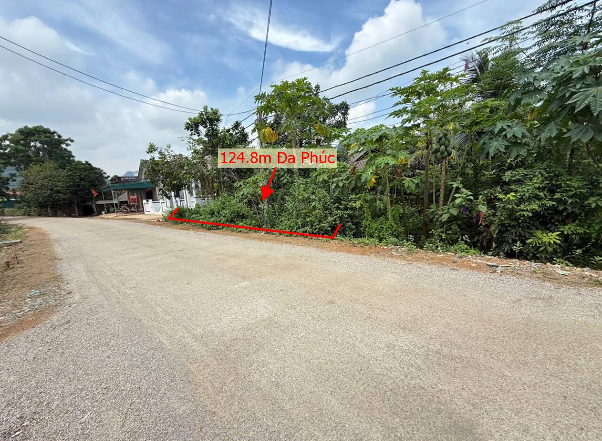 Hình ảnh Bán Lô Đất 124.8m Tại Đa PhúcYên Thủy Bám Đường Bê Tông Ô Tô Vào Tận Đất Dân Cư Đông Đúc Thân Thiện Giá Đầu Tư