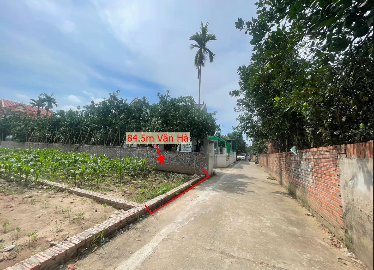 Hình ảnh Bán Lô Đất 84.3m Tại Vân Hà Phúc Thọ Bám Đường Bê Tông Ô Tô Vào Tận Đất Dân Cư Đông Đúc Thân Thiện CÁch Trục Chính 50m Giá Đầu Tư