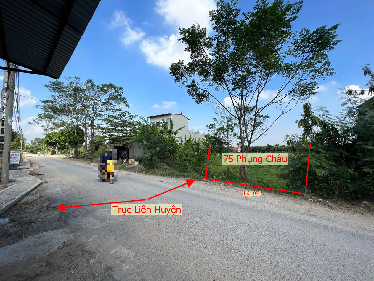 Hình ảnh Bất Động Sản Chương Mỹ Bán Đất Khu Vực Phụng Châu Bám Mặt Đường Kinh Doanh Liên Xã Gần Khu Du Lịch Chùa Trầm