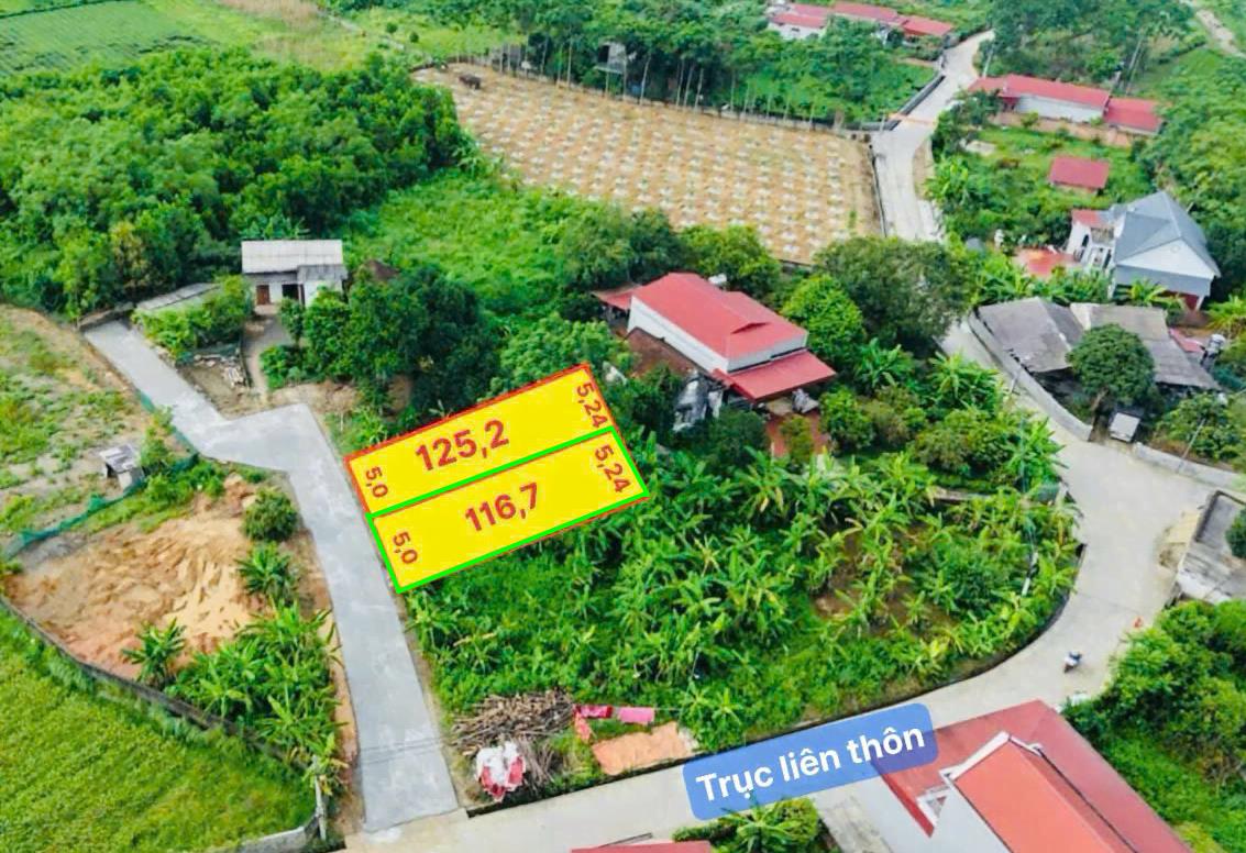 Hình ảnh Bán Lô Đất 116.7m Tại Địch Quả Thanh Sơn Bám Đường Be Tông Ô Tô Vào Tận Đất Dân Cư Đông Đúc Thân Thiện Gần CHợ Trường Học Ủy Ban Giá Đầu Tư