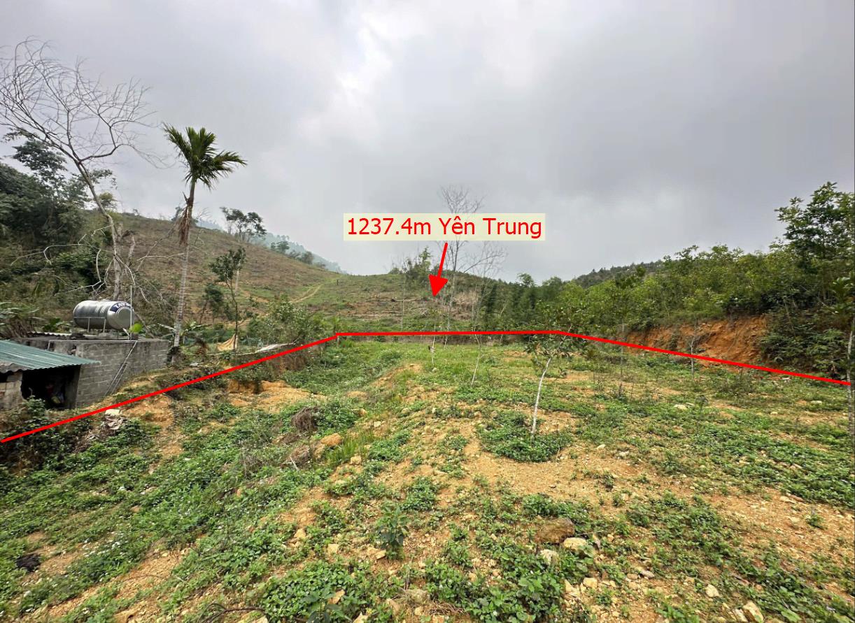 Hình ảnh Bán Lô Đất 1237.4m Tại Yên Trung Thạch Thất Bám Đường Bê Tông Ô Tô Vào Tận Đất Dân Đông Đúc Thân Thiện Dân  Cư Đông Đúc Thân Thiện Giá Đầu Tư