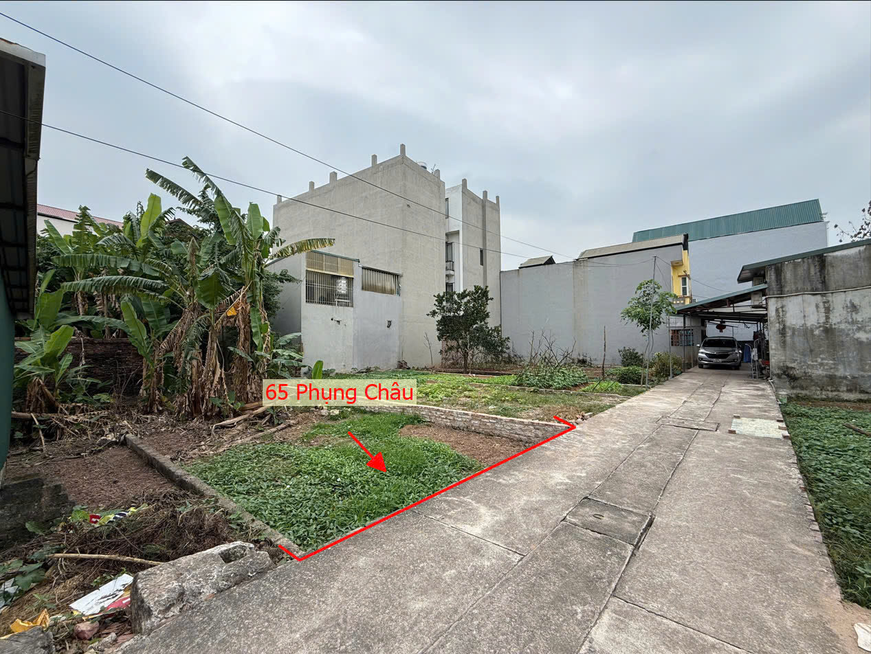 Hình ảnh Bán Đất Phụng Châu Full Thổ Cư Ô Tô Đỗ Tận Đất Gần Trục Chính Kinh Doanh Liên Huyện 