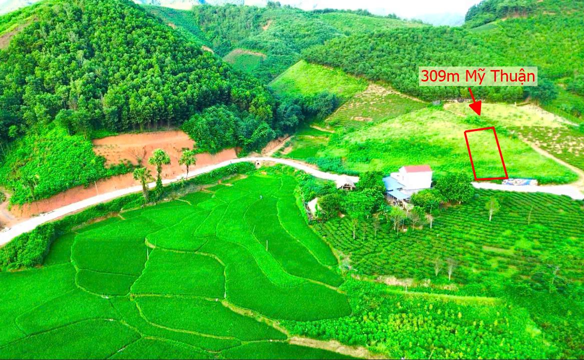 Hình ảnh Bán Lô Đất 309m Tại Mỹ Thuận Tân Sơn Bám Đường Liên Huyện Ô Tô Tránh Nhau View Thoáng Mát Khu Dân Cư Thân Thiện An Ninh Tốt Giá Đầu Tư