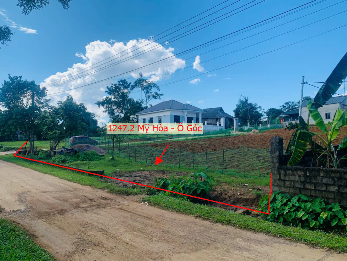 Hình ảnh Bán Lô Góc 2 Mặt Tiền Sát Trục Kinh Doanh Ngay Trung Tâm Xã Mỹ Hòa Giá Nhỉnh Tỷ 