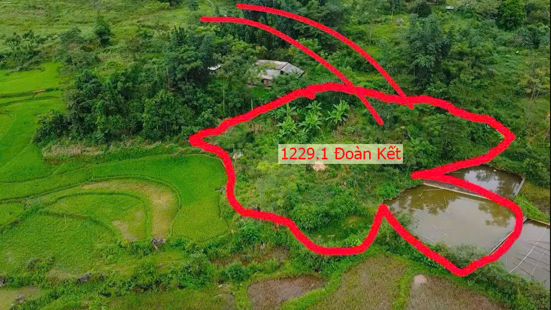 Hình ảnh Bán Đất Đoàn Kết Ô Tô Vào Tận Đất Ngay Trung Tâm Xã Đoàn Kết Giá Chỉ Vào Trăm Triệu 