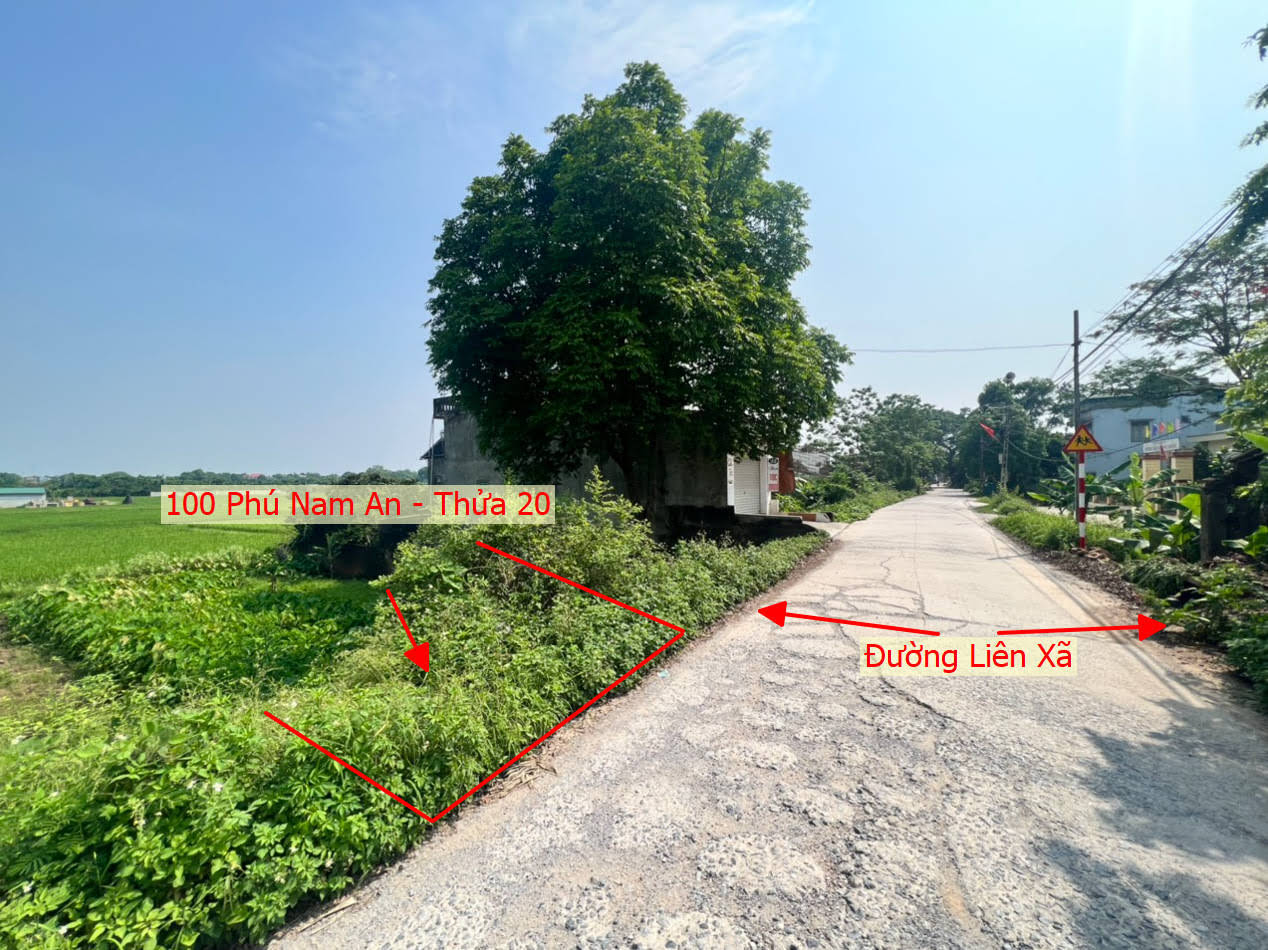 Hình ảnh Bán Đất Phú Nam An Full Thổ Cư Mặt Đường Liên Xã Đối Diện Trường Mầm Non Phú Nam An