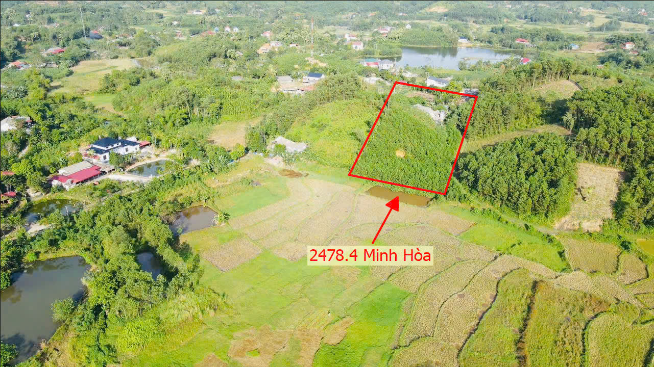 Hình ảnh Bán Đất Minh Hòa Ô Tô Vào Tận Đất Mặt View Cánh Đồng Sát TL330 Giá Chỉ Vài Trăm Triệu 