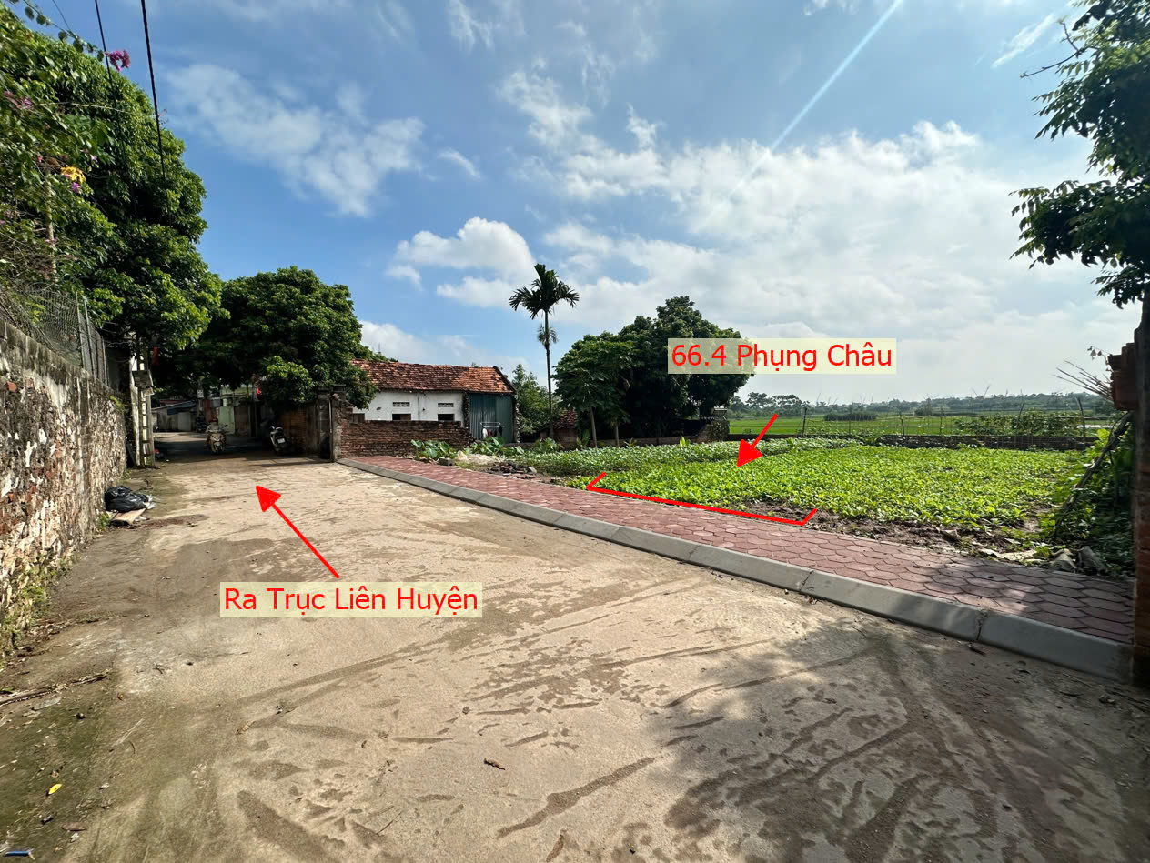Hình ảnh Bất Động Sản Chương Bán Đất Khu Vực Phụng Châu Đường Thông Ô Tô Gần Trục Kinh Doanh Cạnh Khu Du Lịch Chùa Chầm