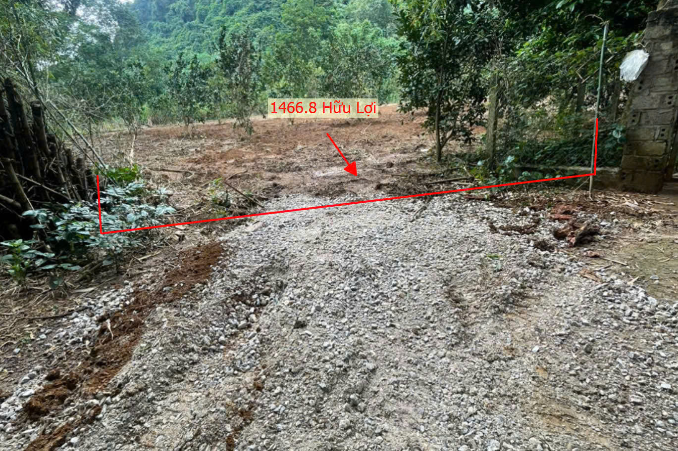 Hình ảnh Bán Đất Hữu Lợi Ô Tô Vào Tận Đất Sát Trục Kinh Doanh Ngay Trung Tâm Xã Hữu Lợi Giá Chưa Đến Tỷ 