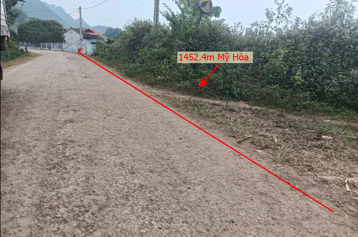 Hình ảnh Bán Lô Đất 1452.4m Tại Mỹ Hòa Tân LẠc Bám Đường Bê Tông Phù Hợp Làm Nghỉ Dưỡng  Xung Quanh Đầy Đủ Tiện Ích Giá Đầu Tư