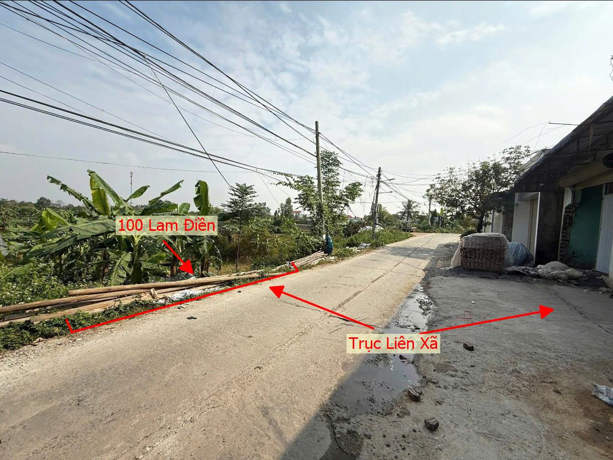 Hình ảnh Bán Đất Lam Điền Full Thổ Cư Bám Mặt Đường Kinh Doanh Liên Huyên Giá Chỉ Vài Tỷ