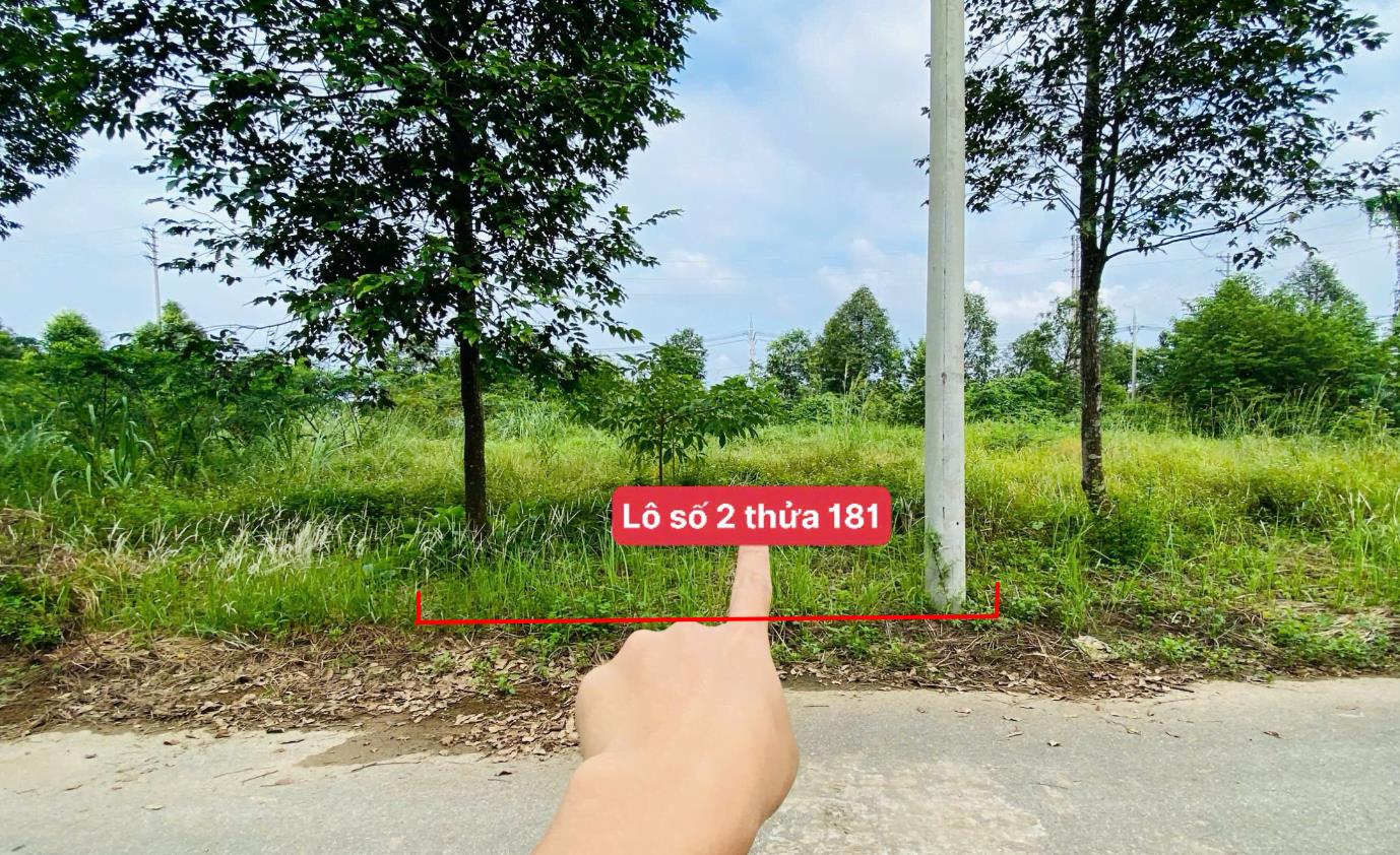 Hình ảnh Bán Lô Đất 100m Tại Cổ Đông Sơn Tây Bám Đường Bê Tông Ô Tô Vào Tận Đất Dân Cư Đông Đúc Thân Thiện  Cách Ql21A 3km Đầu Tư Tiềm Năng Sinh Lời