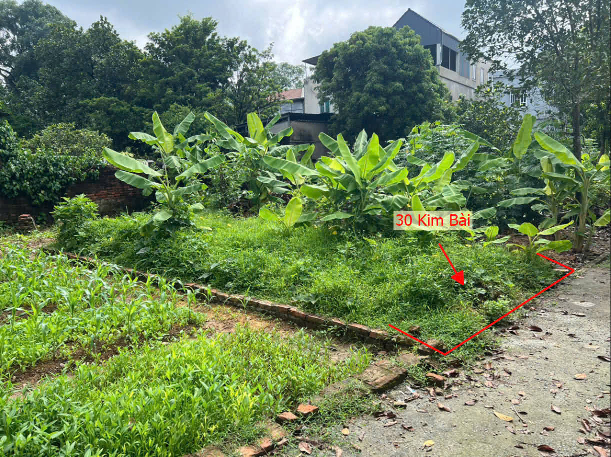 Hình ảnh Bán Đất Thị Trấn Kim Bài Ngay Trung Tâm Hành Chính Huyện Sát Trục Chính Liên Xã 