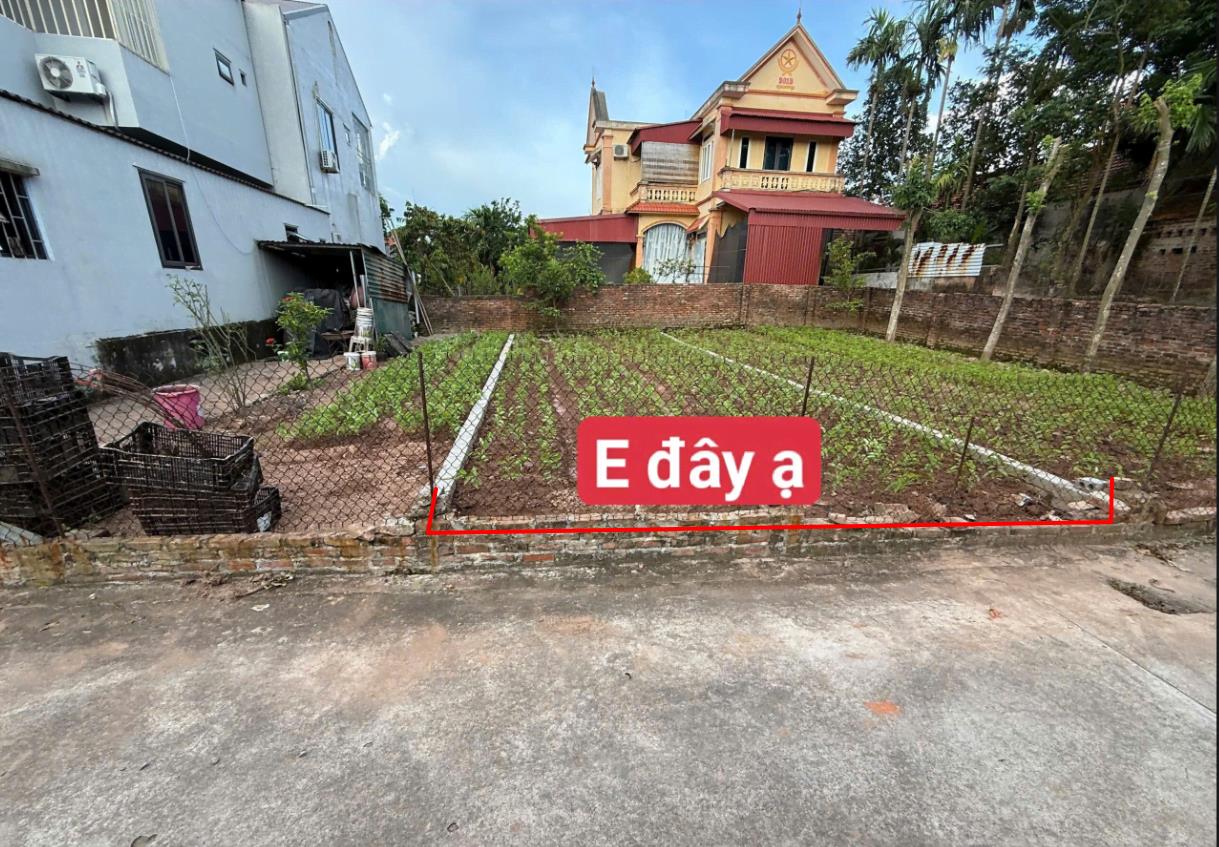 Hình ảnh Bán Lô Đất 70.4m Tại Tân Châu Khoái Châu Bám ĐƯờng Bê Tông Ô Tô Vào Tận Đất Dân CƯ Đông Đúc Thân Thiện Giá Đầu Tư