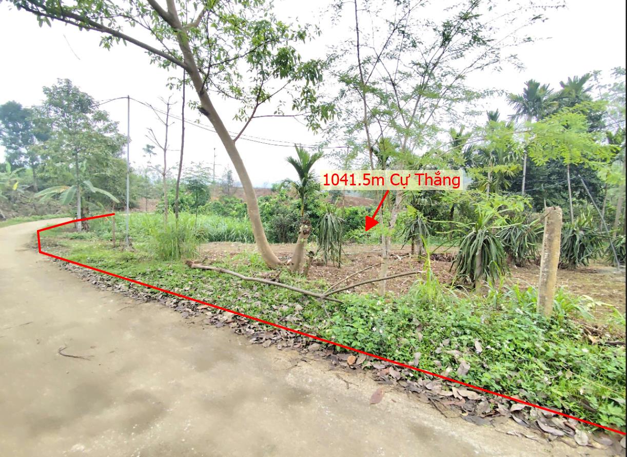 Hình ảnh Bán Lô Đất 1041.5m Tại Cự Thắng Thanh Sơn Bám Đường Bê Tông Ô Tô Vào Tận Đất View Thoáng  Mát Sổ Đỏ Pháp Lý Rõ Ràng