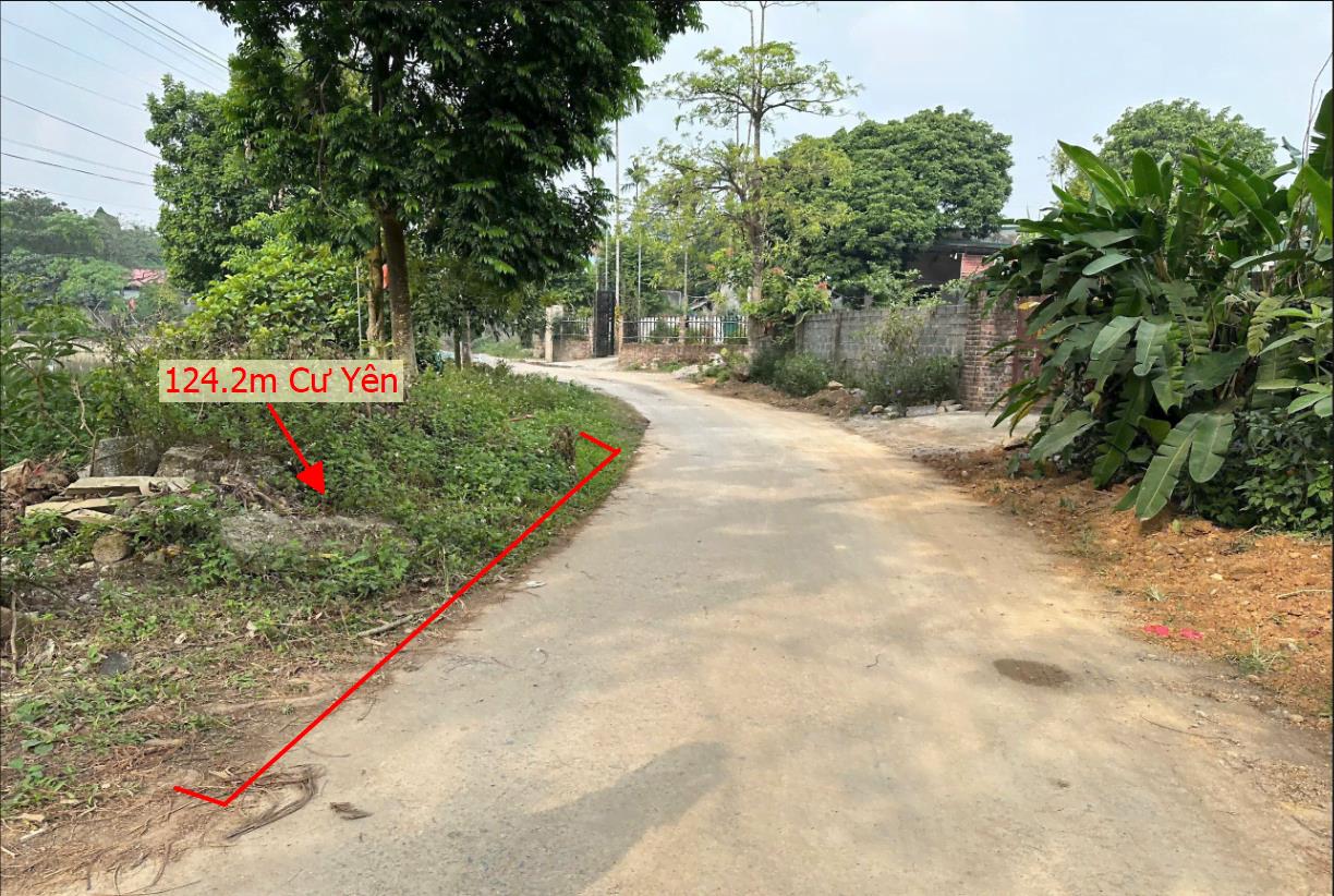 Hình ảnh Bán Lô Đất 124.2m Tại Cư Yên Lương Sơn Bám Đường Bê Tông Ô Tô Vào Tận Đất Dân Cư Đông Đúc Thân Thiện Gần Chợ Trường Học Ủy Ban Giá Đầu Tư