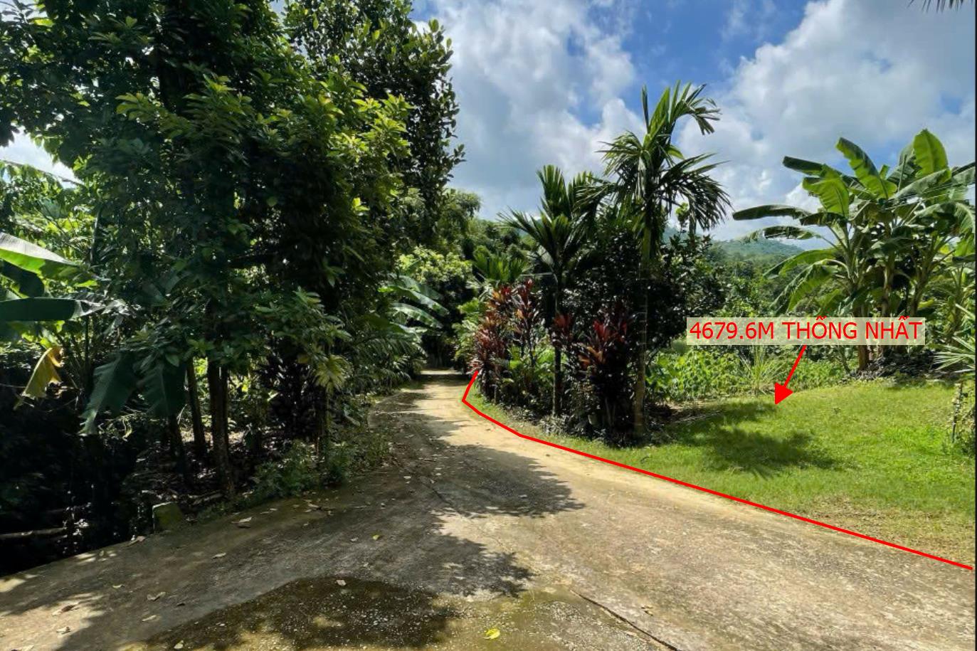 Hình ảnh Bán Lô Đất 4679.6m Tại Thống Nhất TP Hòa Bình  Cách QL6 Khoảng 1km Bám Đường Bê Tông Ô Tô Vào Tận Đất Giá Đầu Tư