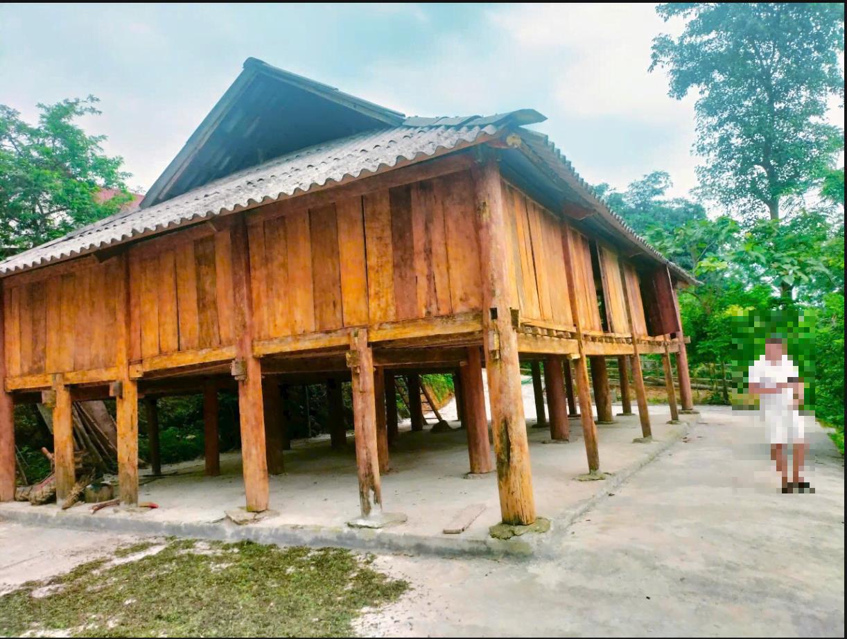 Hình ảnh Bán Lô Đất Nghỉ Dưỡng 903m tại Phú Cường Tân Lạc Bám Đường Bê Tông Ô Tô Vào Tận Sẵn Nhà Sàn Kiên Cố View Thoáng Mát 