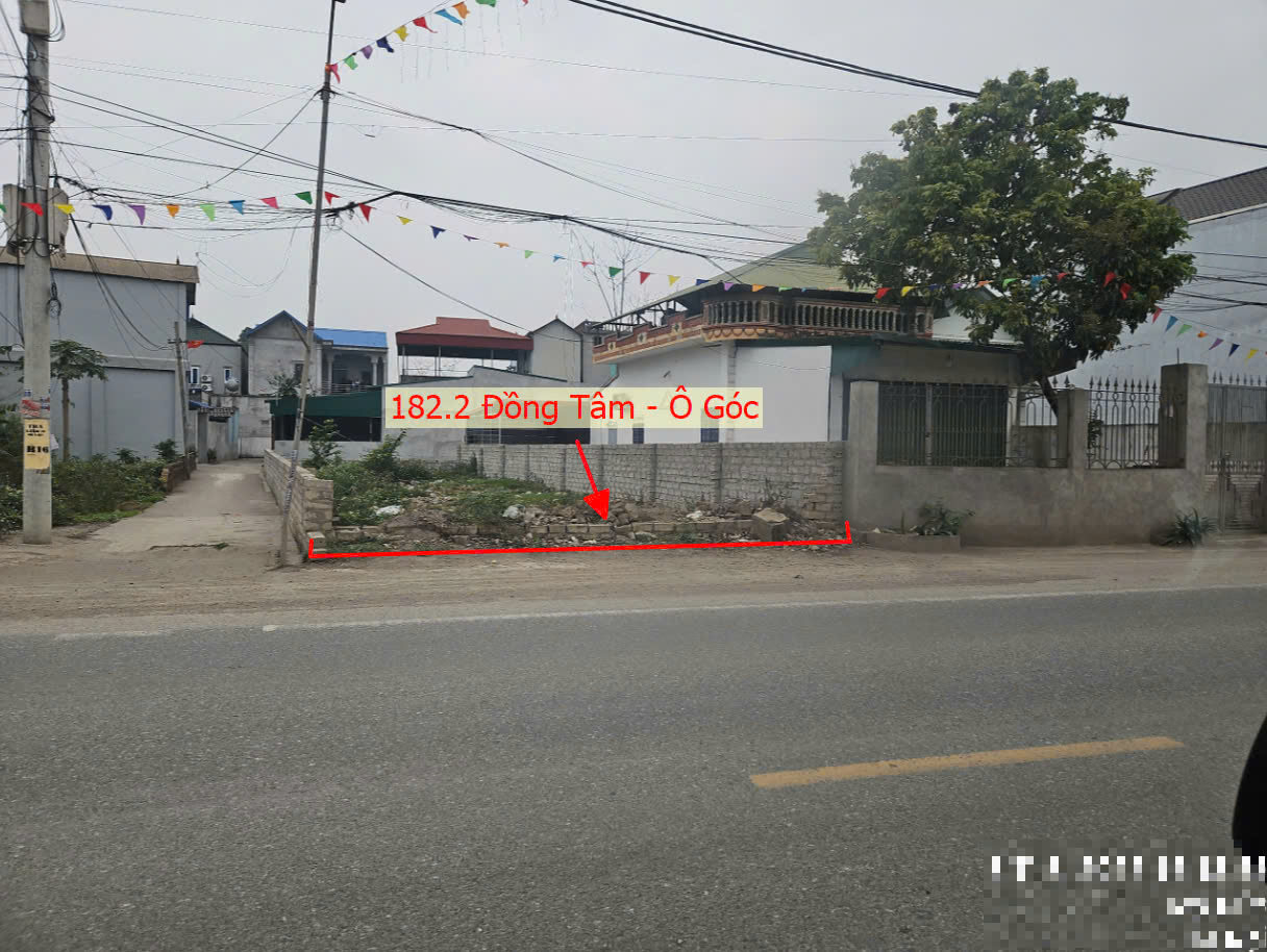 Hình ảnh Bán Lô Góc 2 Mặt Thoáng 182.2m Ngay Trung Tâm Xã Đồng Tâm Mặt Đường Kinh Doanh TL429