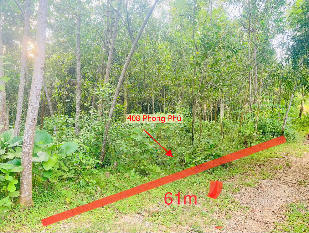 Hình ảnh Bán Lô Góc 2 Mặt Tiền Ô Tô Vào Tận Đất Gần QL6A Ngay Trung Tâm Xã Phong Phú Giá Chỉ Vài Trăm Triệu