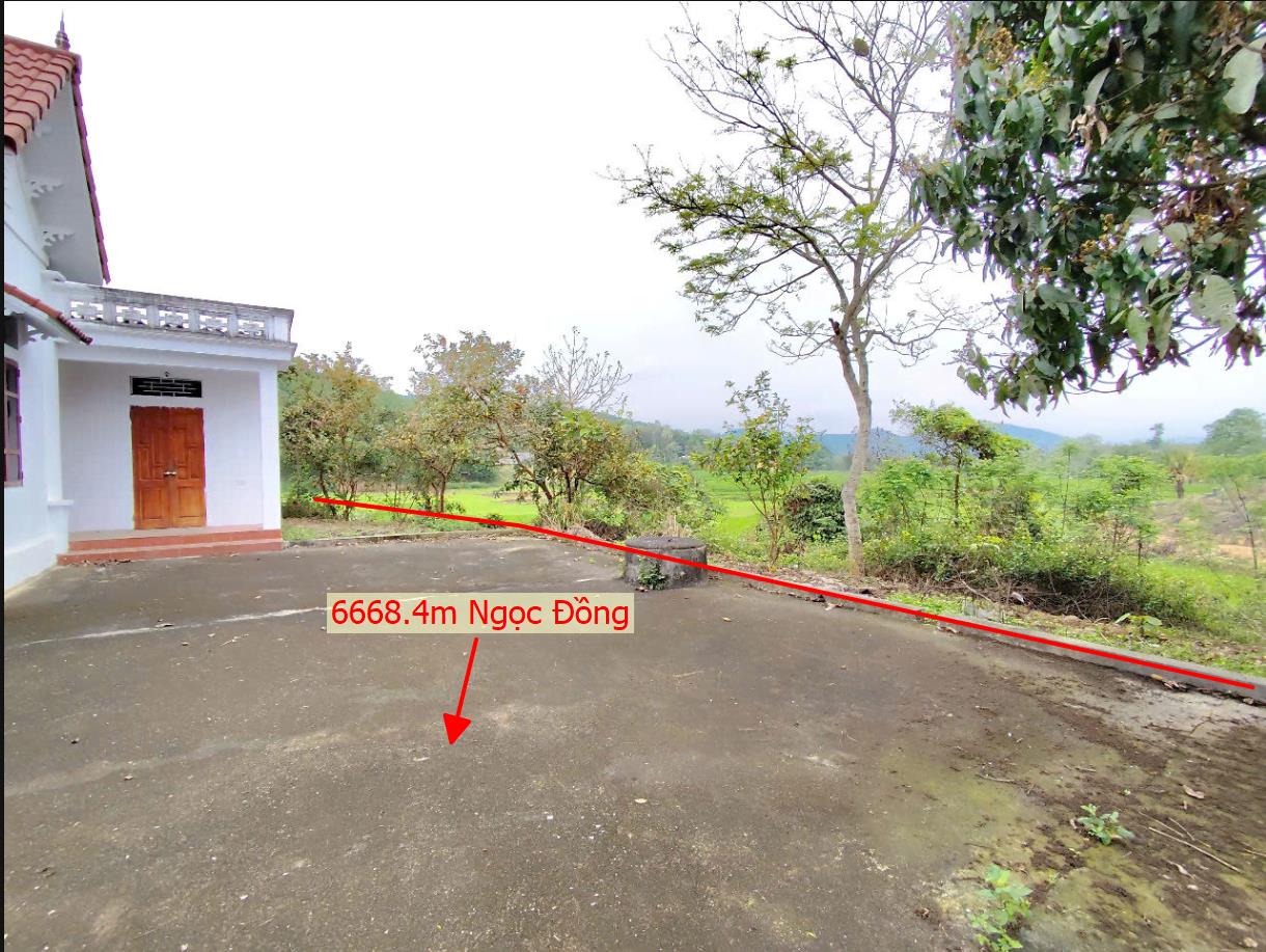 Hình ảnh Bán Lô Đất 668.4m Tại Ngọc Đồng Yên Lập Sẵn Nhà Ô Tô Vào Tận Đất Giá ĐẦu Tư