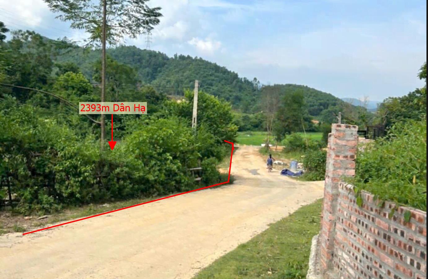 Hình ảnh Bán Lô Đất 2393m Tại Dân Hạ Kì Sơn Bám Đường Bê Tông Ô Tô Vào Tận Đất View Thoáng Mát Gần Chợ Trường Học Ủy Ban