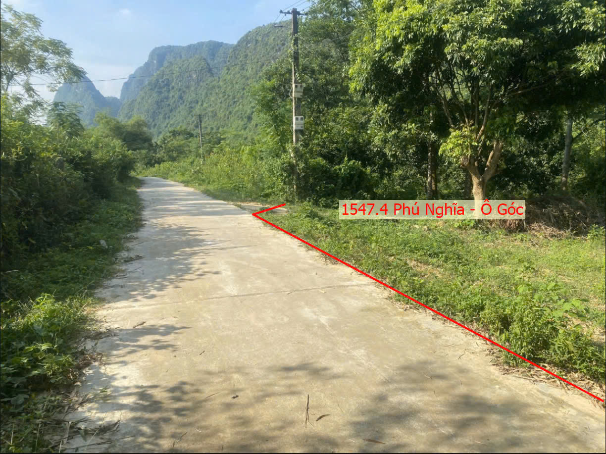 Hình ảnh Bán Lô Góc 3 Mặt Tiền Ô Tô Đỗ Tận Đất Ngay Gần Mặt Đường Kinh Doanh QL21A Tại Phú Nghĩa Lạc Thủy