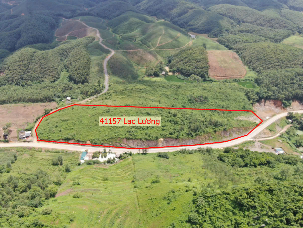 Hình ảnh Bán Đất Lạc Lương Mặt Đường Kinh Doanh Ngay Gần Trung Tâm Xã Lạc Lương Giá Chỉ Hơn Tỷ 