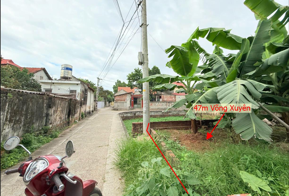 Hình ảnh Bán Lô Đất 47m Tại Võng Xuyên Phúc Thọ Bám Đường Bê Tông Ô Tô Vào Tận Đất Dân Cư Đông Đúc Giá Đầu Tư
