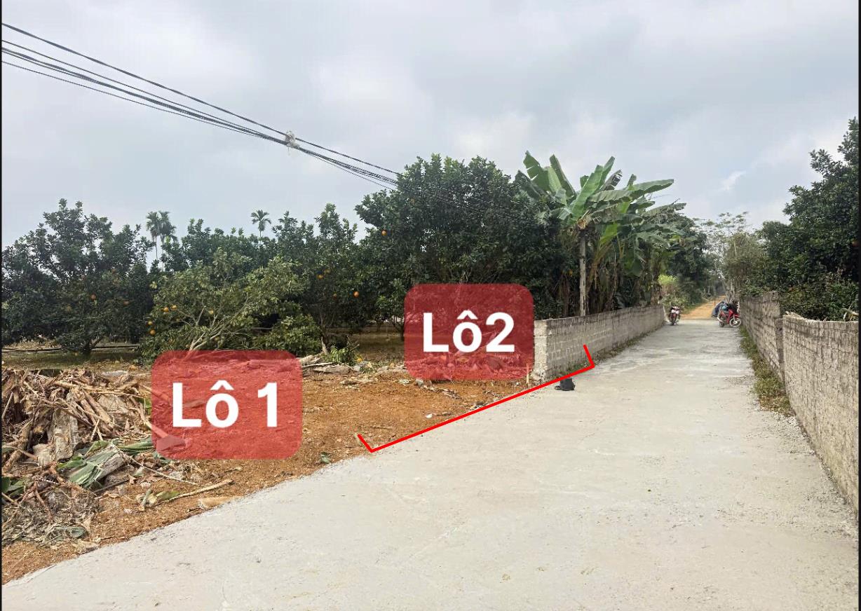 Hình ảnh Bán Đất Phân Lô Ô Tô Vào Tận Đất Dân Cư Đông Đúc Thân Thiện Gần Chợ Trường Học Ủy Ban Giá Rẻ Đầu 