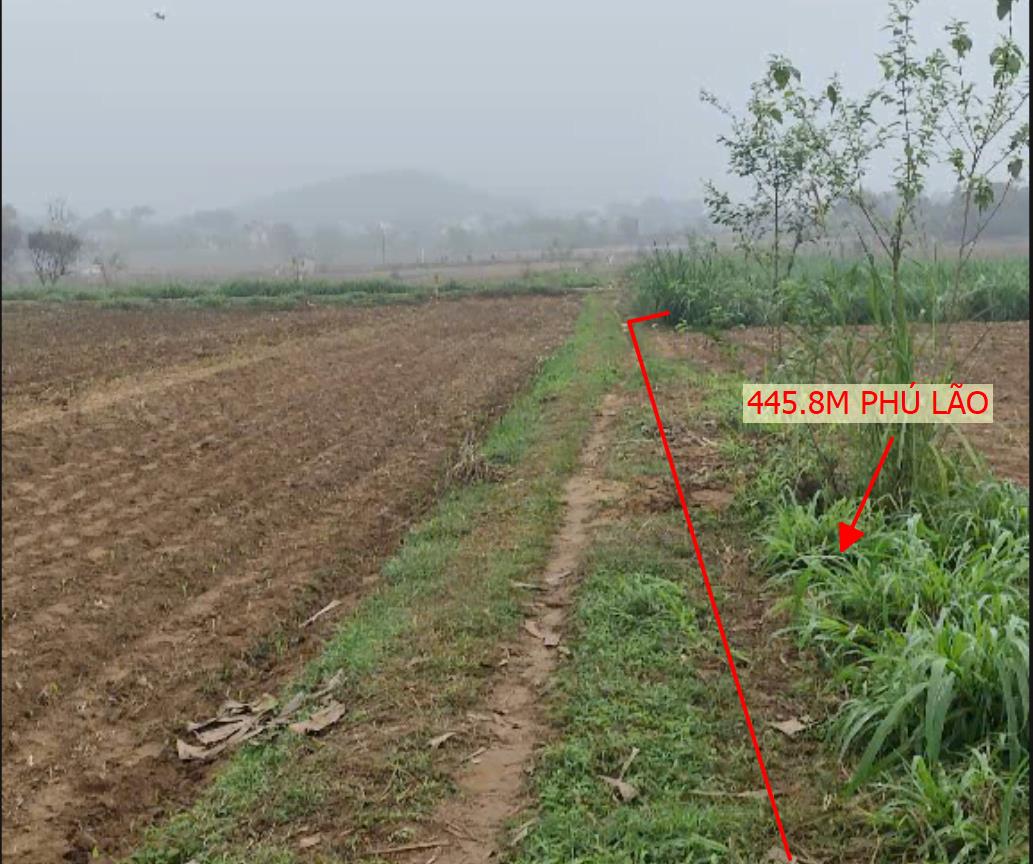 Hình ảnh Bán Lô Đất 445.8m Tại Phú Lão Lạc Thủy Mặt Tiền 10m Vuông Vắn Cách Ql 3km Giá Đầu Tư