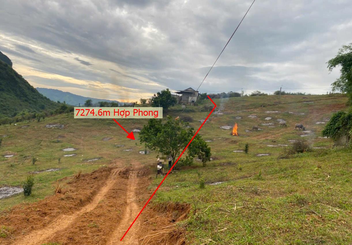 Hình ảnh Bán Lô Đất 7274.6m Tại Cao Phong Sẵn Vườn Cây Ăn Quả  Đường Thông Ngõ Thoáng Gần Trường Học Điểm Du Lịch Sổ Đỏ CÔng Chứng Trong Ngày Giá Đầu Tư