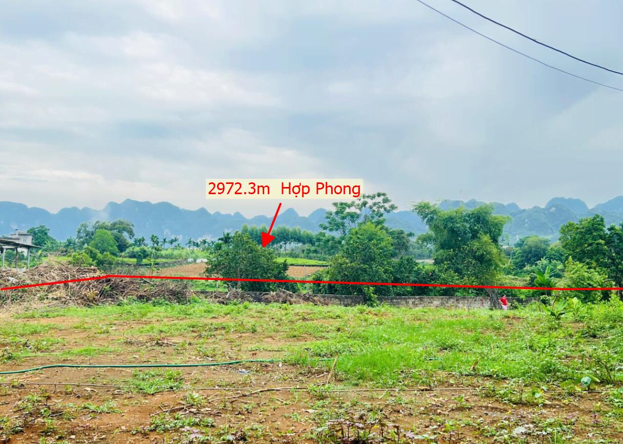 Hình ảnh Bán Lô Đất 2972.3m Tại Hợp Phong Cao Phong Bám Đường Bê Tông Ô Tô Vào Tận Đất Dân Cư Đông Đúc Thân Thiện Gần Chợ Trường Học Ủy Ban Giá Đầu Tư