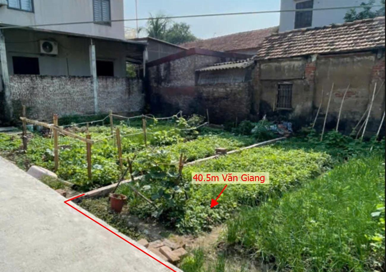 Hình ảnh Bán Lô Đất 40.5m Tại Văn Giang Bám Đường Bê Tông Ô Tô Vào Tận Đất Dân Cư Đông Đúc Thân Thiện Gần Chợ Trường Học Giá Đầu Tư