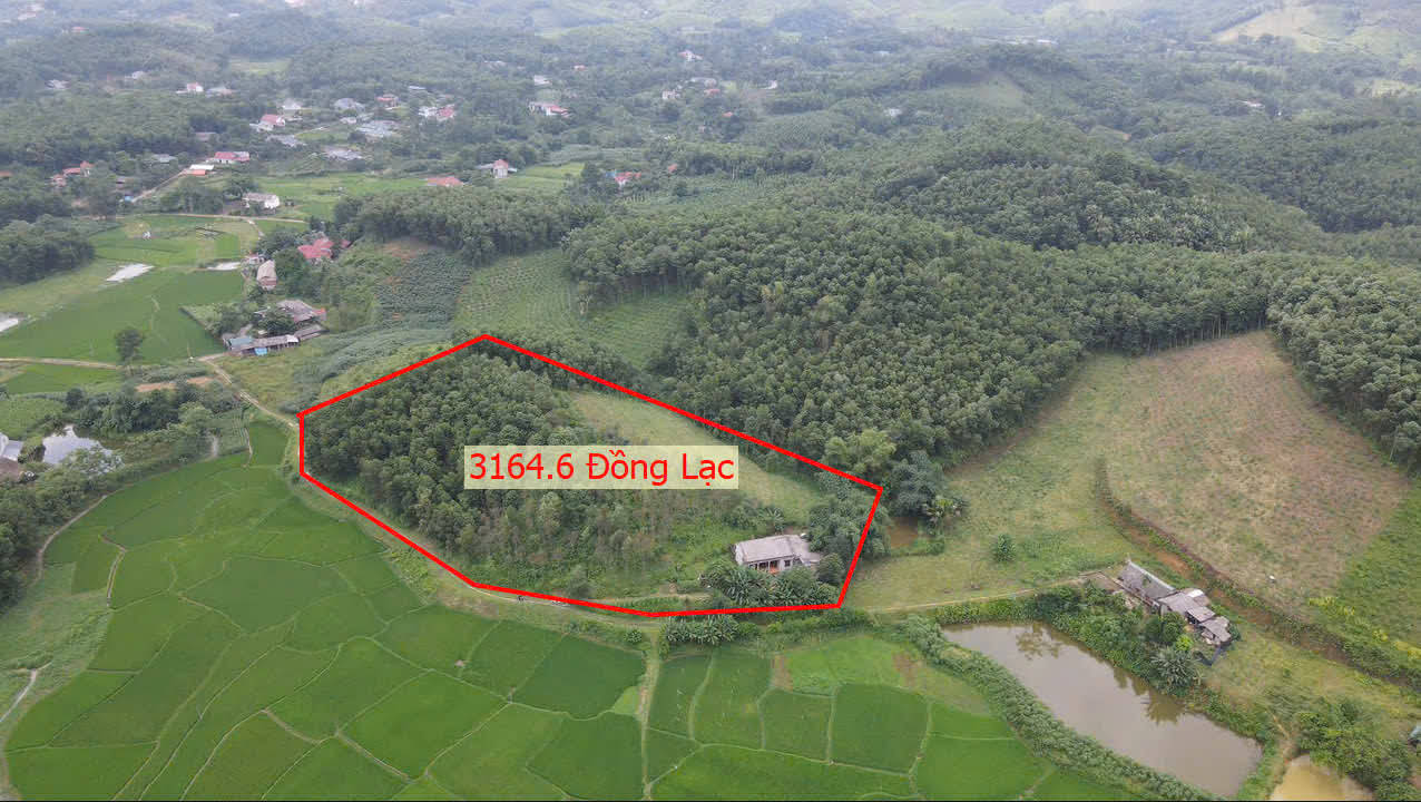 Hình ảnh Bán Đất Đồng Lạc Sẵn Nhà Cấp 4 Ô Tô Vào Tận Đất Mặt View Cánh Đồng Giá Nhỉnh Tỷ 