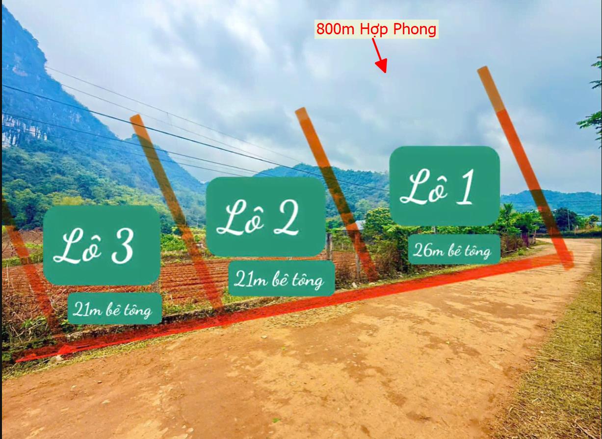 Hình ảnh Bán Lô Đất 800m Tại Hợp Phong Cao Phong Bám Đường Bê Tông Ô Tô Vào Tận Đất Dân Cư Đông Đúc View Thoáng Mát Giá Đầu Tư