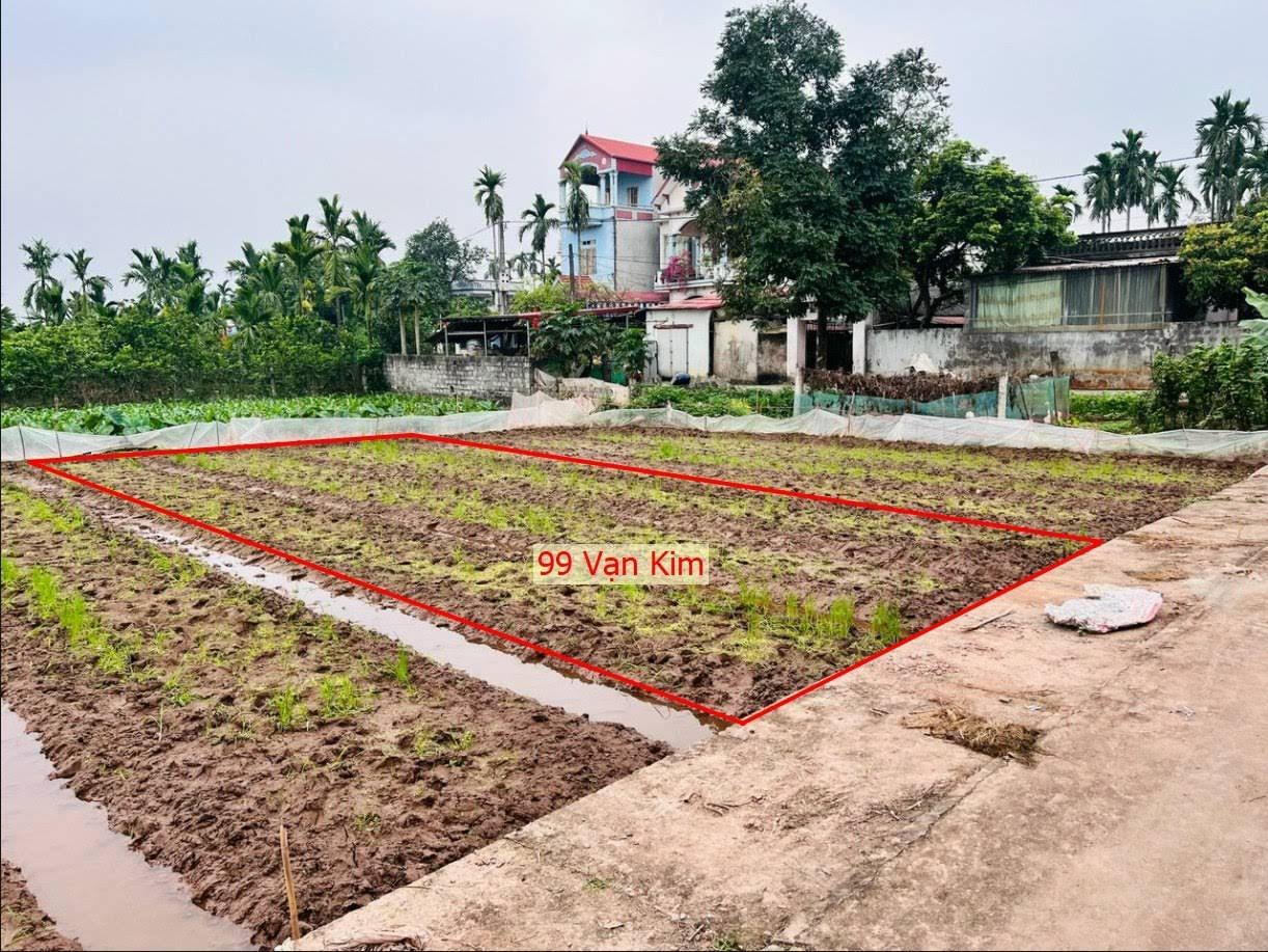 Hình ảnh Bán Đất Phân Lô Ở Vạn Kim Mỹ Đức Gần Trục Kinh Doanh Giá Chỉ Vài Trăm Triệu 