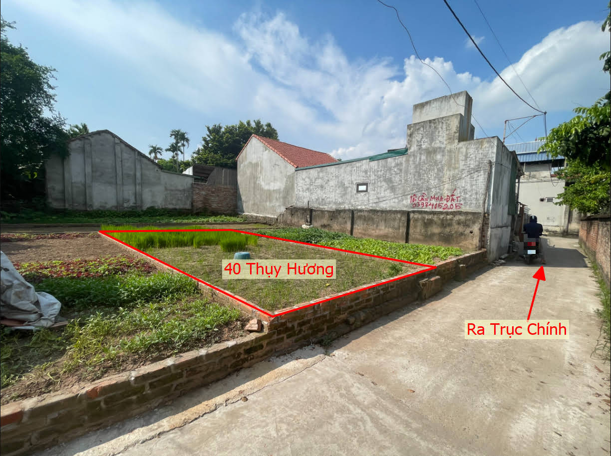 Hình ảnh Bán Đất Phân Lô Thụy Hương Ô Tô Vào Tận Đất Gần Trung Tâm Xã Thụy Hương Giá Nhỉnh 2 Tỷ