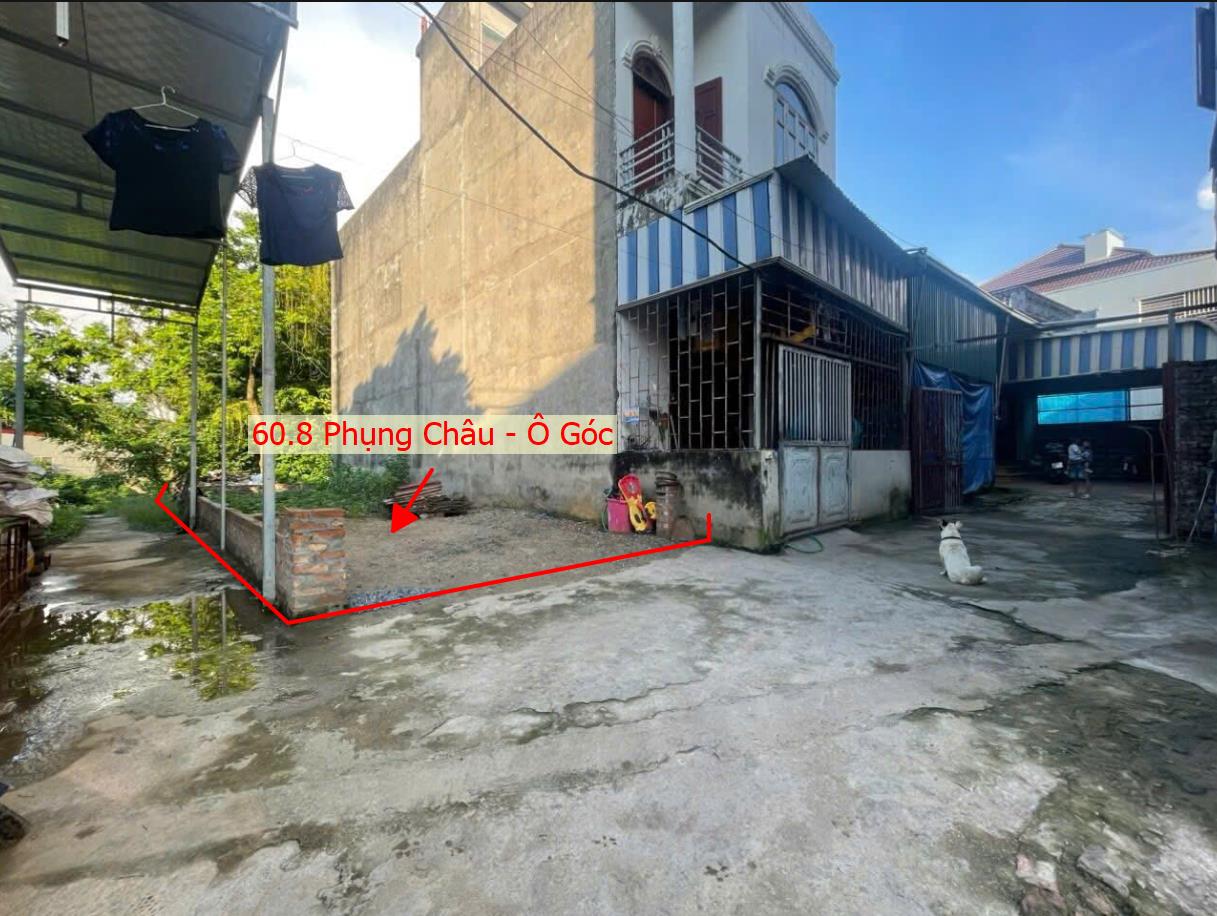 Hình ảnh Bán Lô Góc 2 Mặt Thoáng 60.8M2 Ngay Trung Tâm Xã Phụng Châu Sát Trục Kinh Doanh Liên Huyện 